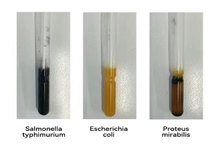 BABIO лансира транспортен медиум со високи перформанси (SS тип) за сигурен глобален пренос на микробиолошки примероци