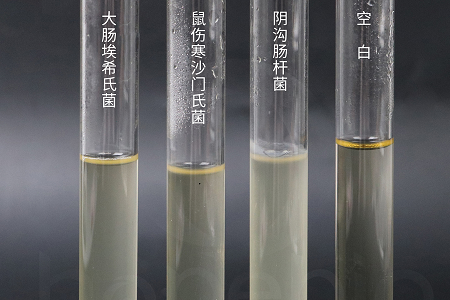 Babio Biotechnology лансира супа за инфузија на мозочно срце со високи перформанси за сигурно микробно одгледување